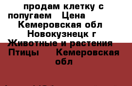 продам клетку с попугаем › Цена ­ 3 000 - Кемеровская обл., Новокузнецк г. Животные и растения » Птицы   . Кемеровская обл.